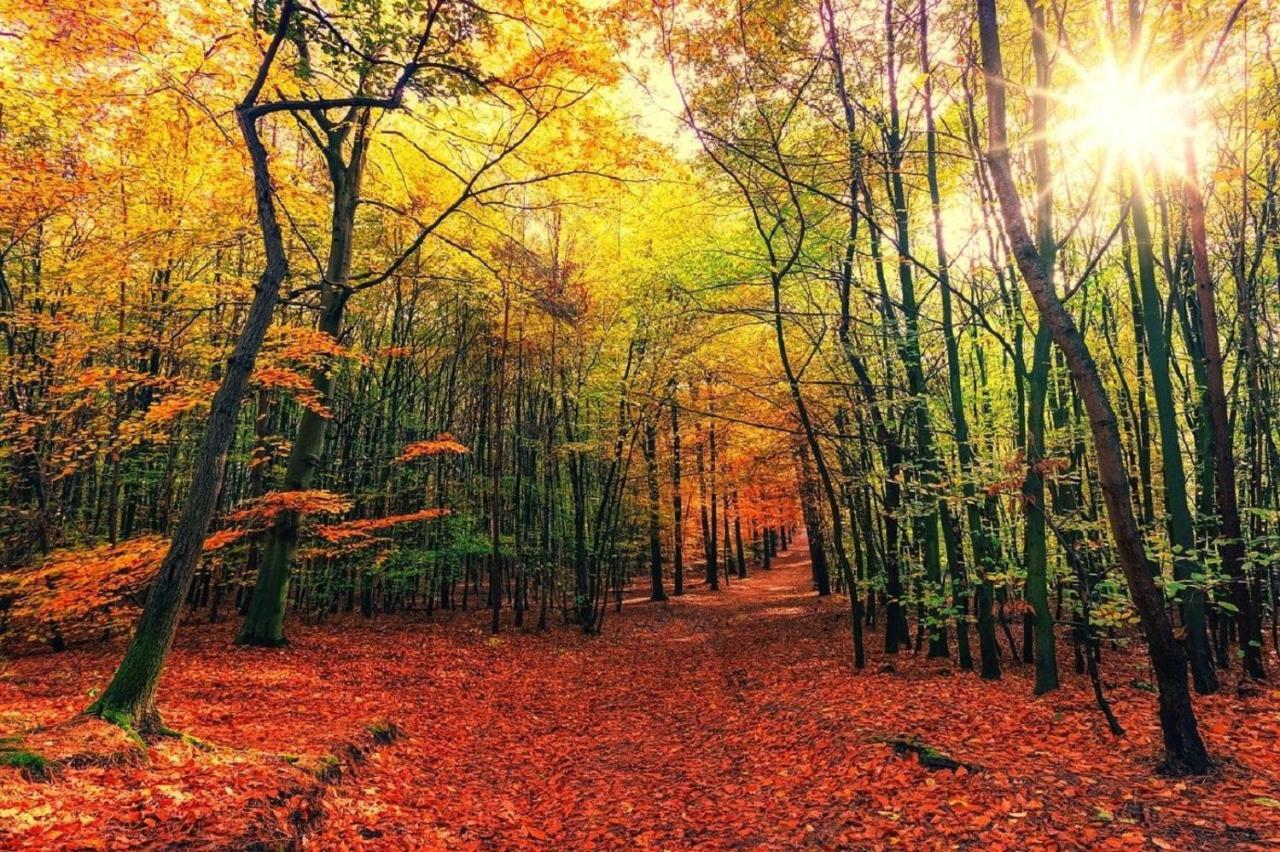 B&B Drenthe Вестерборк Екстер'єр фото